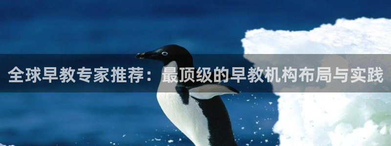 威九国际ppt免费吗：全球早教专家推荐：最顶级的早教机构布局与实践