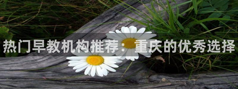 威九国际取款多到账：热门早教机构推荐：重庆的优秀选择