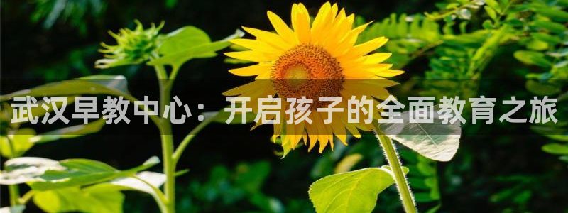 威九国际78mann：武汉早教中心：开启孩子的全面教育之旅