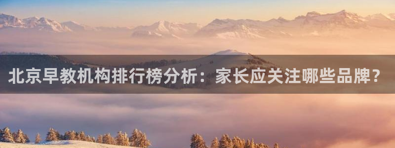 威九国际ppt免费吗