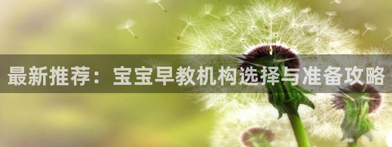 威九国际网站是多少：最新推荐：宝宝早教机构选择与准备攻略