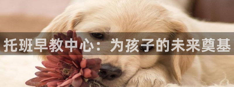威九国际的演员：托班早教中心：为孩子的未来奠基