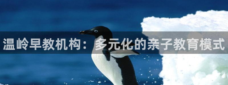 威九国际新人白发:温岭早教机构:多元化的亲子教育模式