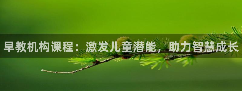 威九国际78m78:早教机构课程:激发儿童潜能,助力智慧成长