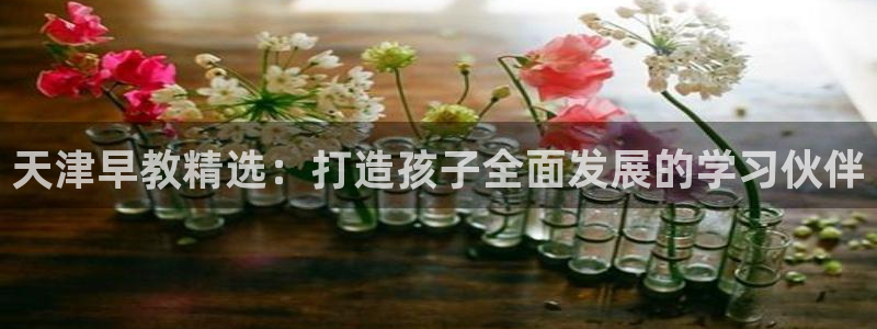 威九国际惠子：天津早教精选：打造孩子全面发展的学习伙伴