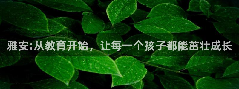 威九国际取款不到账：雅安:从教育开始，让每一个孩子都能茁壮成长