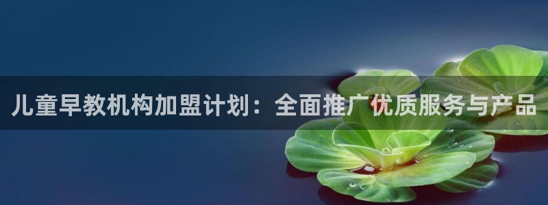 78mapp威九国际网：儿童早教机构加盟计划：全面推广优质服务与产品