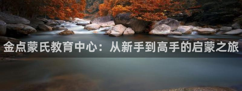 78mapp威九国际人民网：金点蒙氏教育中心：从新手到高手的启蒙之旅