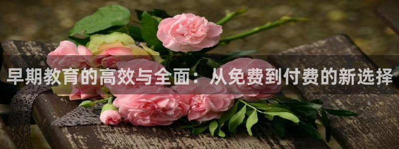 威九国际cm78：早期教育的高效与全面：从免费到付费的新选择
