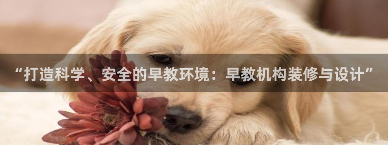 威九国际官网在线进入网站查询网址：“打造科学、安全的早教环境：早教机构装修与设计