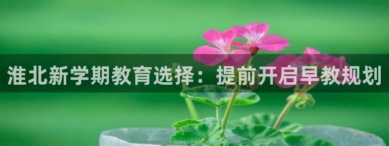 威九国际精选：淮北新学期教育选择：提前开启早教规划