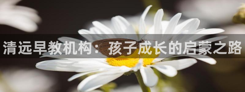 威九国际v96bet下载：清远早教机构：孩子成长的启蒙之路