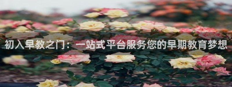 威九code6070：初入早教之门：一站式平台服务您的早期教育梦想