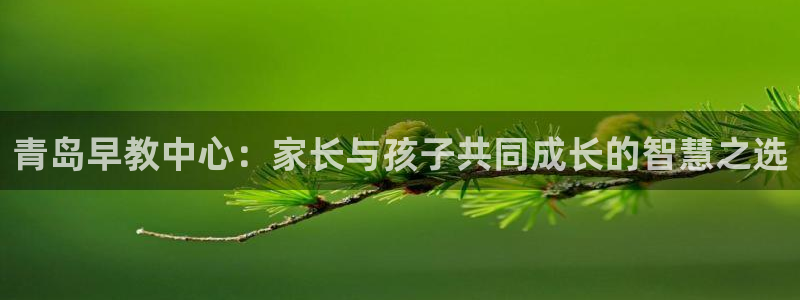 威九国际抡里：青岛早教中心：家长与孩子共同成长的智慧之选