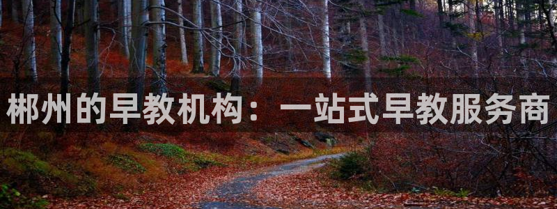威九国际app入口在哪：郴州的早教机构：一站式早教服务商