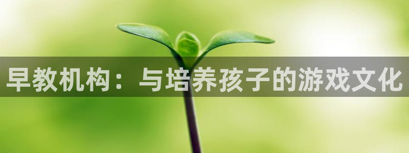 威九国际女：早教机构：与培养孩子的游戏文化
