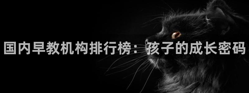 威九国际网站链接：国内早教机构排行榜：孩子的成长密码