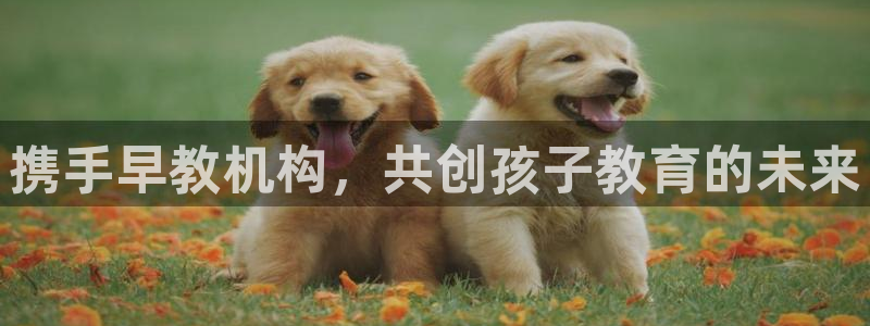 威九国际66cm：携手早教机构，共创孩子教育的未来