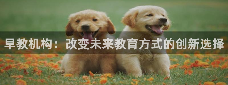 威九国际空降：早教机构：改变未来教育方式的创新选择