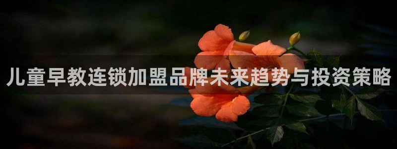 威九国际v96bet下载：儿童早教连锁加盟品牌未来趋势与投资策略