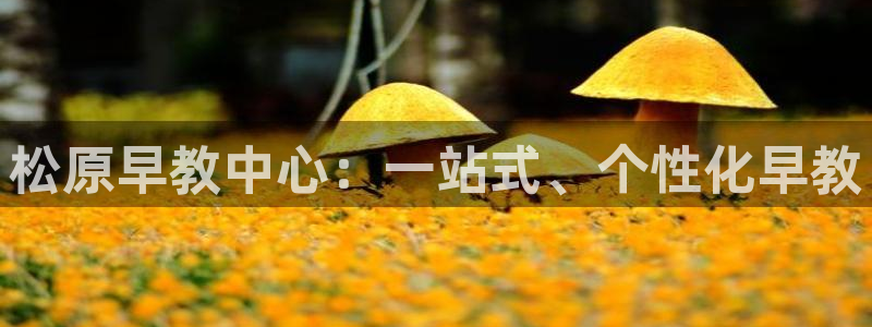 威九国际清砖码头在哪：松原早教中心：一站式、个性化早教
