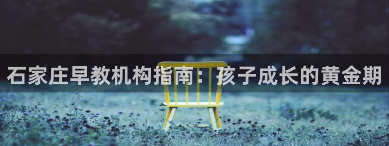 威九国际真人玩家在线对战：石家庄早教机构指南：孩子成长的黄金期