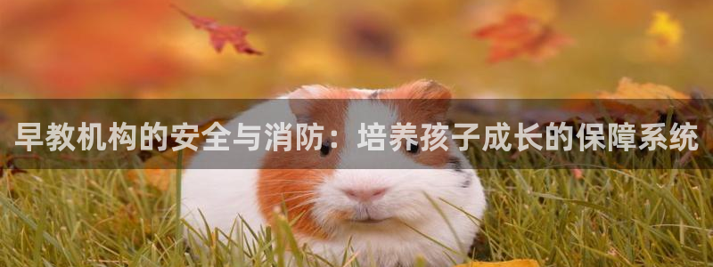 威九国际女儿的朋友：早教机构的安全与消防：培养孩子成长的保障系统