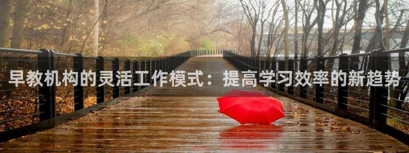威九国际78app：早教机构的灵活工作模式：提高学习效率的新趋势