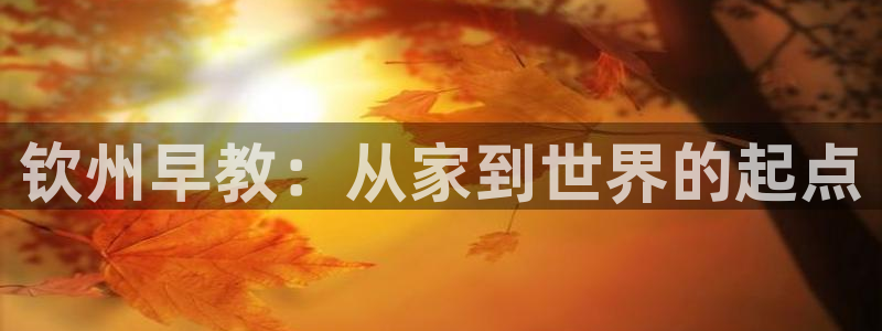 威九国际最受欢迎的功能：钦州早教：从家到世界的起点