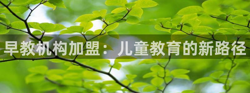 威九国际66m-66：早教机构加盟：儿童教育的新路径