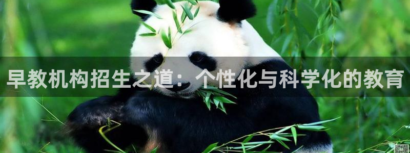 威九国际空降服务女演员名字：早教机构招生之道：个性化与科学化的教育
