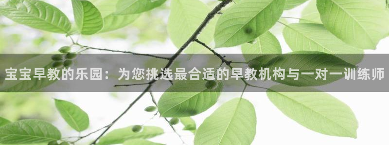 威九国际官网登录入口：宝宝早教的乐园：为您挑选最合适的早教机构与一对一训练师