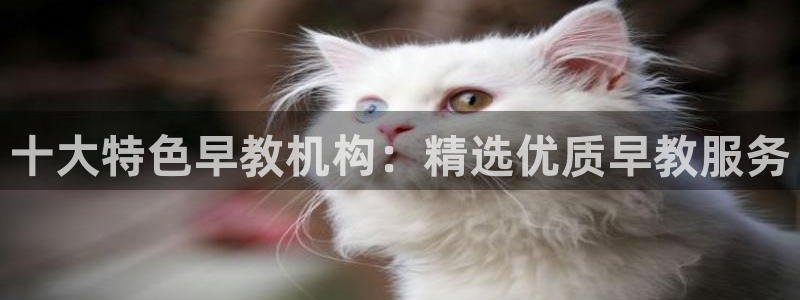 威九国际软件：十大特色早教机构：精选优质早教服务