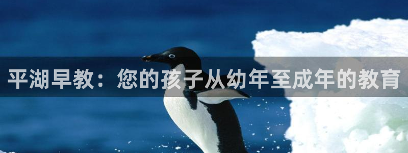 威九国际系列：平湖早教：您的孩子从幼年至成年的教育
