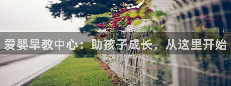 威九国际网站：爱婴早教中心：助孩子成长，从这里开始