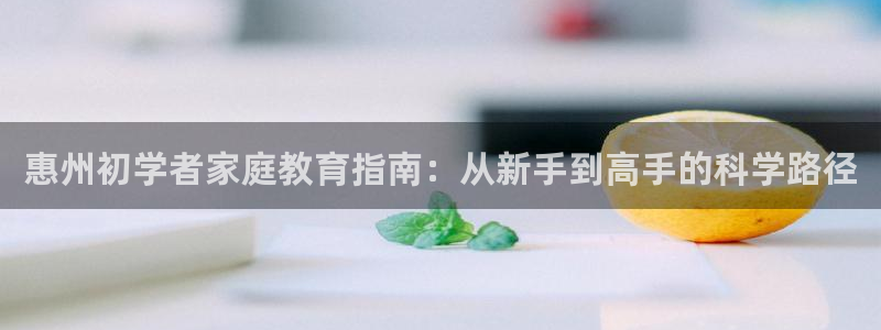 78mapp威九国际：惠州初学者家庭教育指南：从新手到高手的科学路径