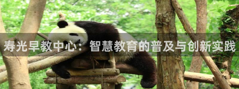 威九国际服:寿光早教中心:智慧教育的普及与创新实践