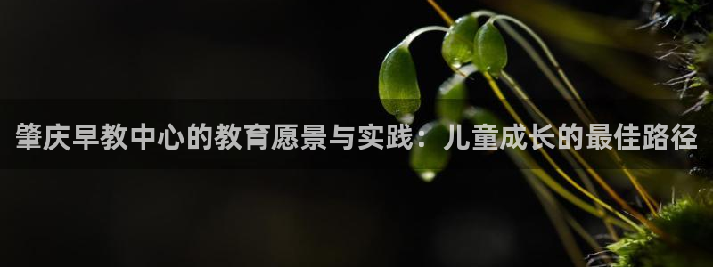 威九国际官方网站:肇庆早教中心的教育愿景与实践:儿童成长的最佳路径