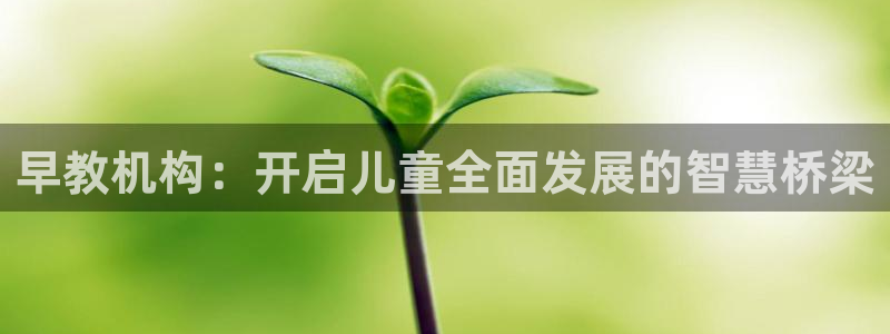 威九国际66m66m:早教机构:开启儿童全面发展的智慧桥梁