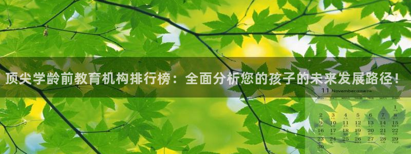 威九国际78M.APP:顶尖学龄前教育机构排行榜:全面分析您的孩子的未来发展路径