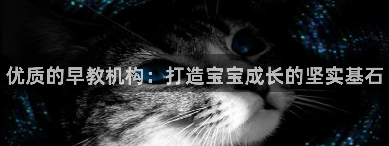 威九国际网站客服电话多少号码:优质的早教机构:打造宝宝成长的坚实基石