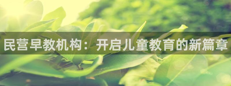 78mapp威九国际媒体：民营早教机构：开启儿童教育的新篇章