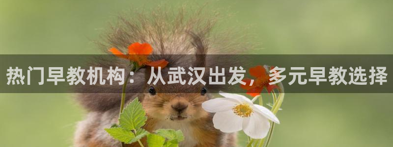 威九国际网站客服电话多少：热门早教机构：从武汉出发，多元早教选择