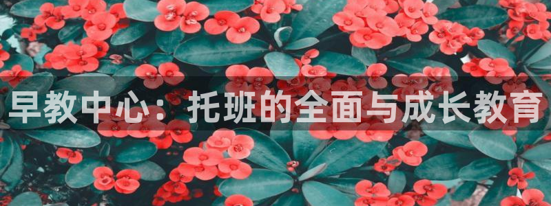 威九国际app哪个地方：早教中心：托班的全面与成长教育