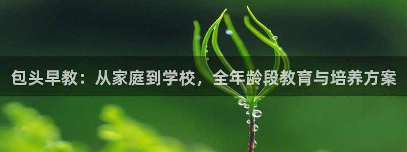 威九国际官方网站：包头早教：从家庭到学校，全年龄段教育与培养方案