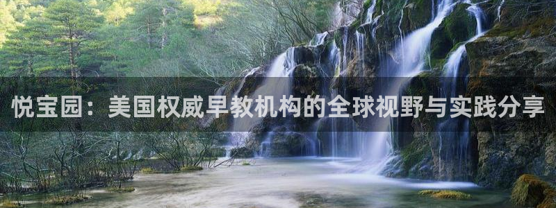 威九国际66：悦宝园：美国权威早教机构的全球视野与实践分享