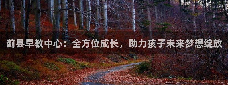 威九国际ppt官网：蓟县早教中心：全方位成长，助力孩子未来梦想绽放