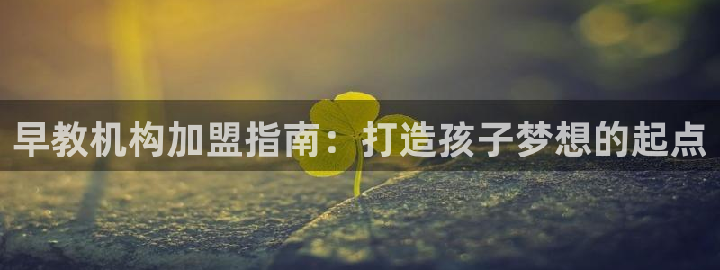 威九国际网站进入产品中心:早教机构加盟指南:打造孩子梦想的起点