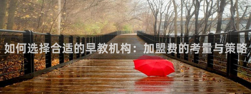 威九国际APP下载:如何选择合适的早教机构:加盟费的考量与策略