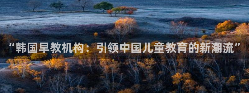 威九国际网站进入客服中心怎么退出:“韩国早教机构:引领中国儿童教育的新潮流”